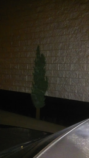 Electrical Supply Store «Walters Wholesale Electric», reviews and photos, 1619 W 15th St, Long Beach, CA 90813, USA