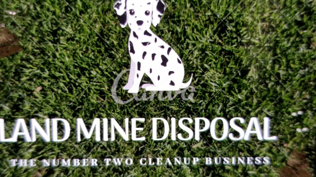 The Number Two Cleanup Business