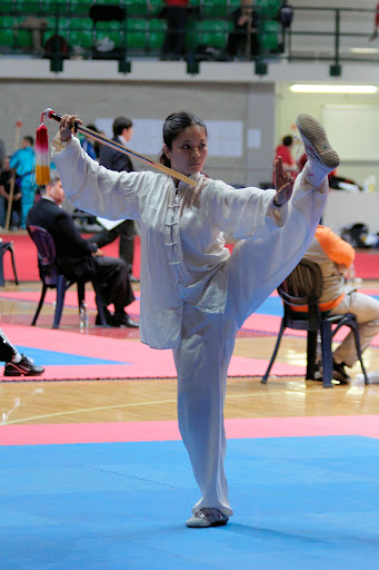 Ecole de Wushu Yang