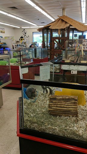 Pet Store «Pet Stop», reviews and photos, 6218 Nieman Rd, Shawnee, KS 66203, USA