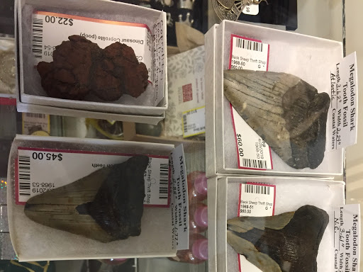 Thrift Store «Black Sheep Thrift Shop», reviews and photos, 323 Drum Point Rd, Brick, NJ 08723, USA