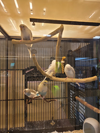 Pet Supply Store «PetSmart», reviews and photos, 19 Clifton Country Rd, Clifton Park, NY 12065, USA