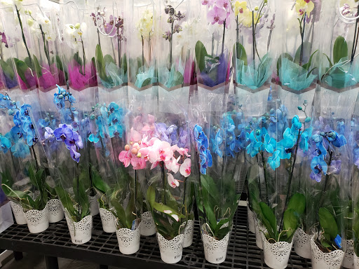 Department Store «Walmart Supercenter», reviews and photos, 8551 Whitfield Ave, Leeds, AL 35094, USA