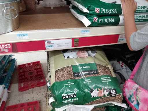 Home Improvement Store «Tractor Supply Co.», reviews and photos, 100 W Ardice Ave #1, Eustis, FL 32726, USA