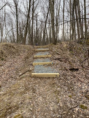 Riker Hill Fossil Site - photo 41