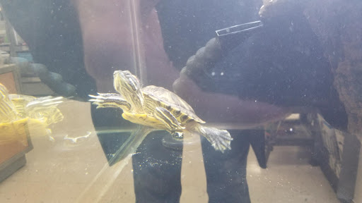 Pet Supply Store «Petco Animal Supplies», reviews and photos, 27111 167th Pl SE #113, Covington, WA 98042, USA