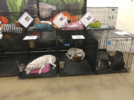 Pet Supply Store «PetSmart», reviews and photos, 380 S State Rd 434, Altamonte Springs, FL 32714, USA