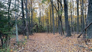 Callahan State Park South Entrance - photo 21