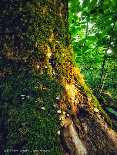 Park «Harrods Creek Park», reviews and photos, 6530 Montero Dr, Prospect, KY 40059, USA