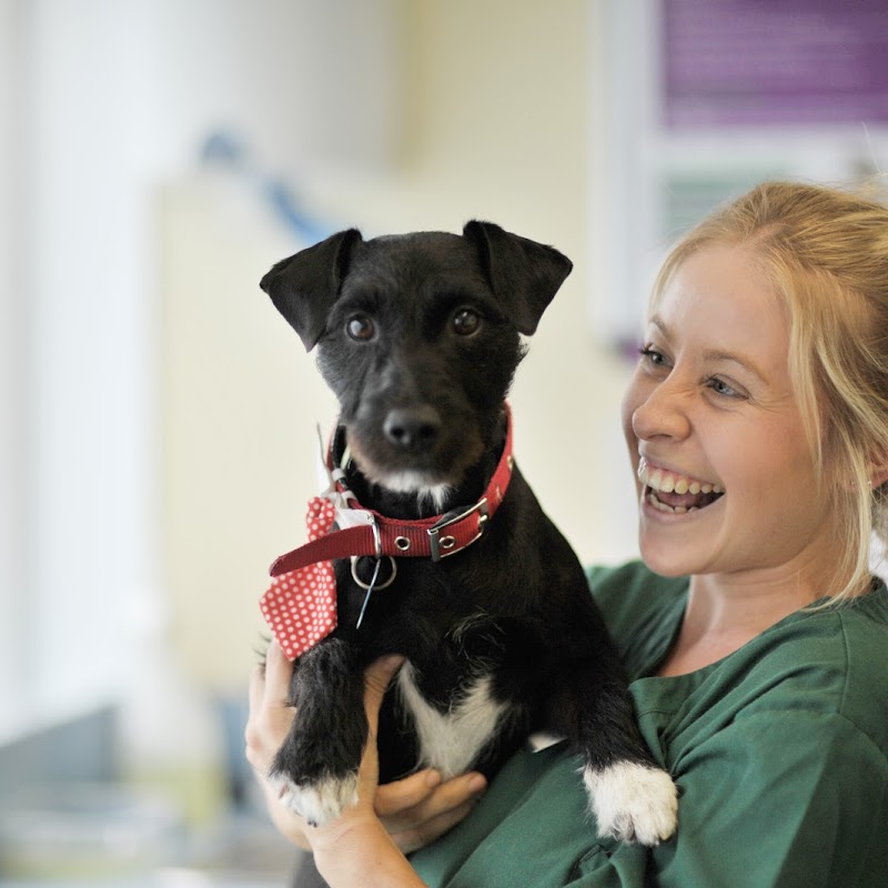 Shipley and Idle Veterinary Centres