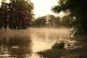 Lake Martin image