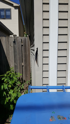 Park «Horner Park», reviews and photos, 2741 W Montrose Ave, Chicago, IL 60618, USA