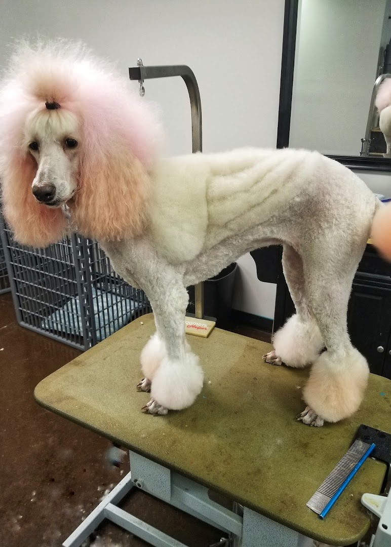 Blue Ribbon Pet Styling