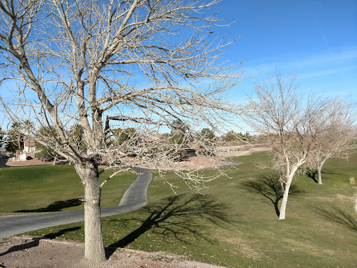 Golf Course «Desert Willow Golf Course», reviews and photos, 2020 W Horizon Ridge Pkwy, Henderson, NV 89012, USA