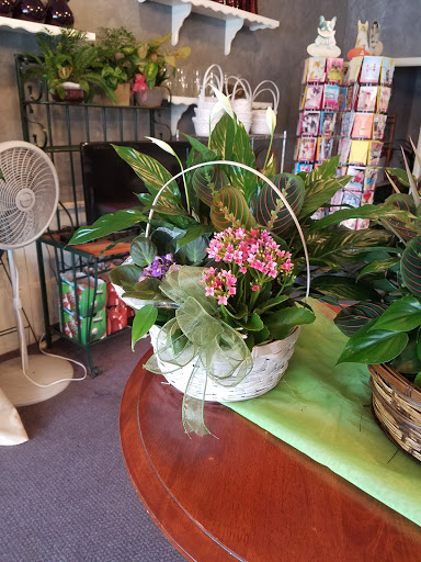Florist «Tampa Flowers and Baskets», reviews and photos, 4719 Normandy Dr, Tampa, FL 33615, USA