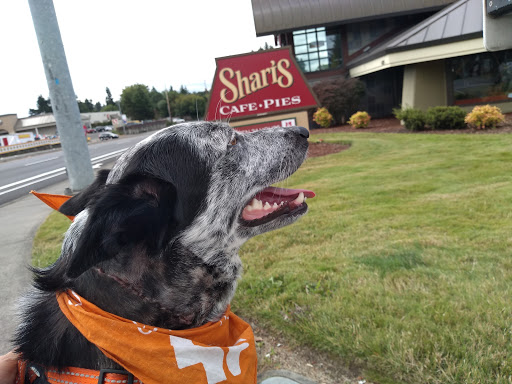 Shopping Mall «Murray Crossing Shopping Center», reviews and photos, 6035 SW Murray Blvd, Beaverton, OR 97008, USA