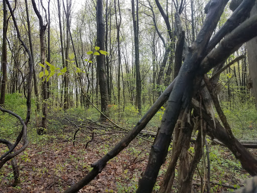 Golf Course «Riverview Golf Course», reviews and photos, 3903 OH-82, Newton Falls, OH 44444, USA