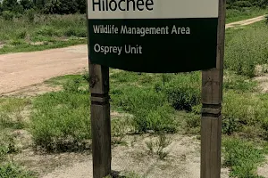 Hilochee Wildlife Management Area, Osprey Unit image