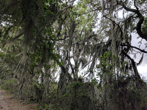 Recreation Center «Balm Park Recreation Center», reviews and photos, 14747 Balm Wimauma Rd, Wimauma, FL 33598, USA