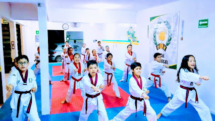 Taekwondo Mdk Pedregal