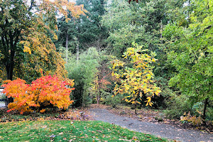 Lake Wilderness Arboretum