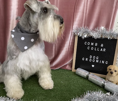 Comb and Collar Dog Grooming