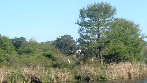 Golf Club «Heritage Golf Club», reviews and photos, 478 Heritage Dr, Pawleys Island, SC 29585, USA