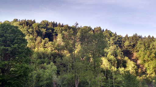 Campground «Herkimer Diamond KOA Resort», reviews and photos, 4626 NY-28, Herkimer, NY 13350, USA