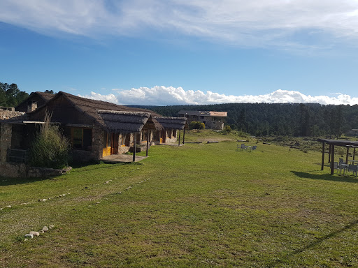 Bodega Las Cañitas