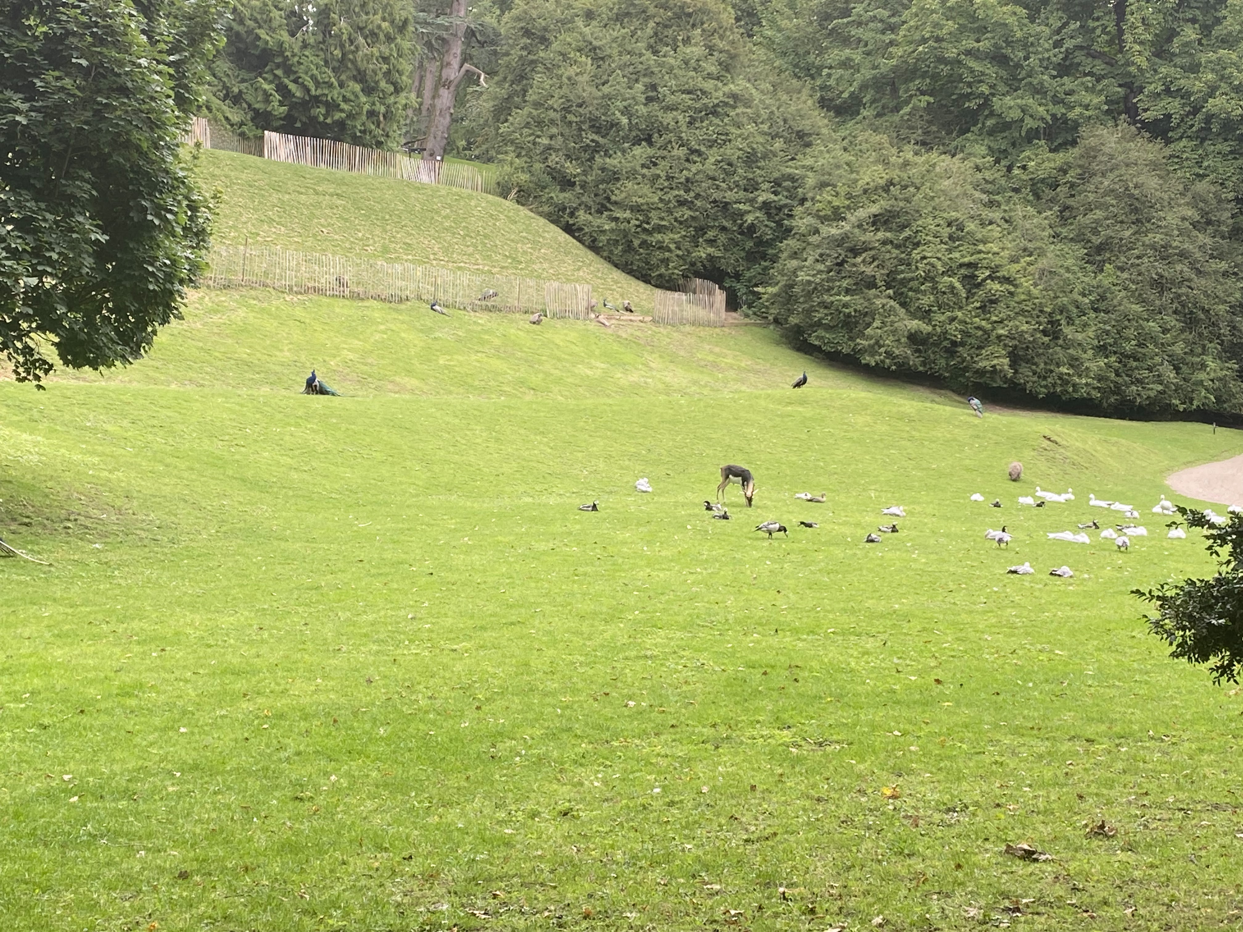 Photo n° 18 de l'avis de Mickael.e fait le 11/08/2023 à 05:54