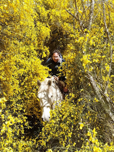 Rancho Carhuello - Pucón