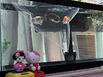 Quincy Aquarium - Photo 2 - Car repair in Quincy, MA, Boston