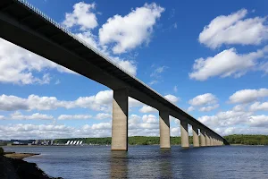 Vejle Fjord Bridge image