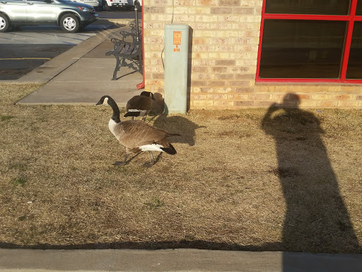 Tire Shop «Hibdon Tires Plus», reviews and photos, 510 SW 19th St, Moore, OK 73160, USA