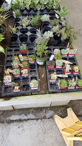 Home Improvement Store «The Home Depot», reviews and photos, 3860 Northlake Blvd, Lake Park, FL 33403, USA