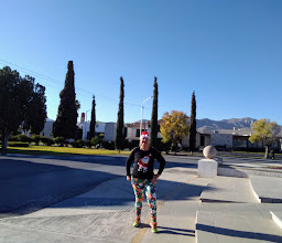 Fuentes Del Paseo Central De Torreón Jardín photo