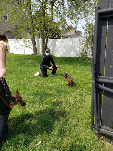 1150 E 9 Mile Rd, Ferndale, MI 48220, USA