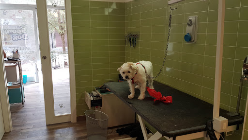 Pensioni per cani e dog hotel a SPONGE DOG TOELETTATURA