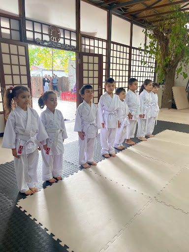 Judo classes Istanbul