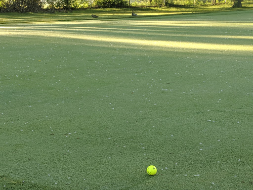 Golf Club «Maple Lane Golf Club», reviews and photos, 33203 Maple Ln Dr, Sterling Heights, MI 48312, USA