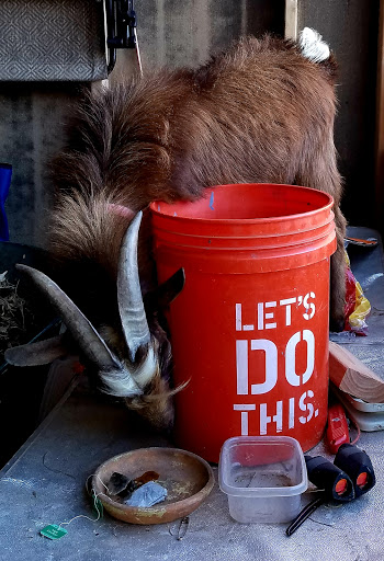 Garden Center at The Home Depot