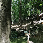 Photo n°10 de l'avis de Barbara.a fait le 27/06/2020 à 06:14 sur le  Ca di Voi à Calizzano