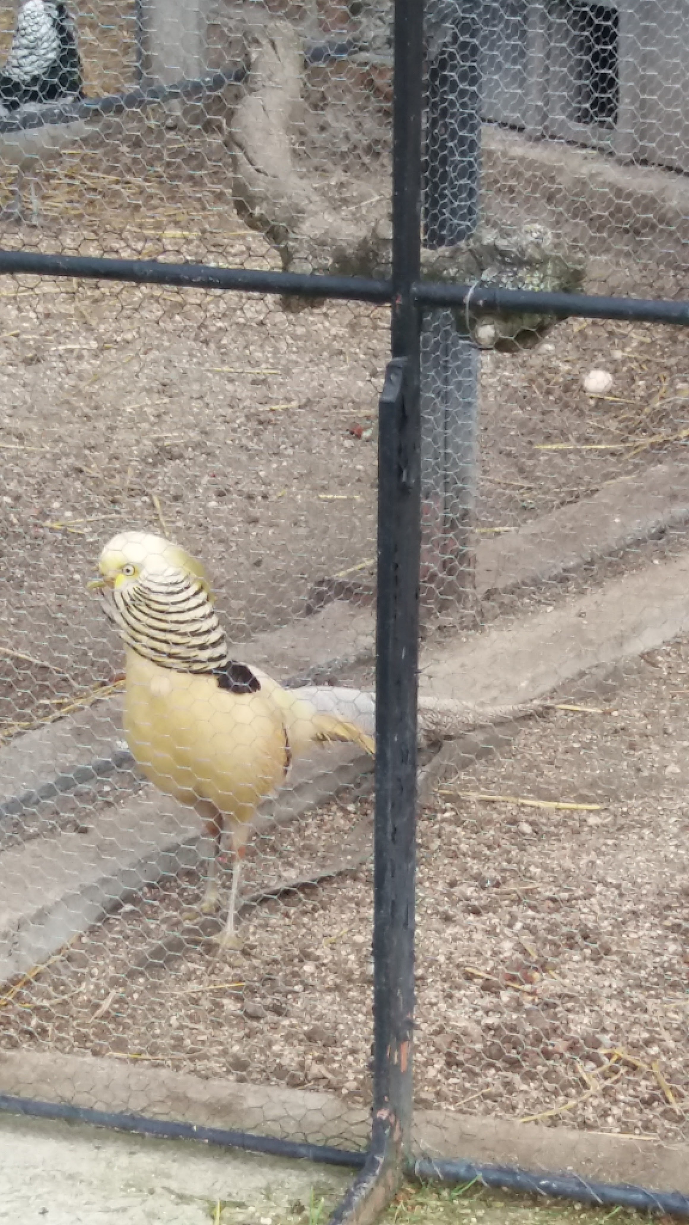 Photo n° 4 de l'avis de Jose.o fait le 22/05/2019 à 12:28