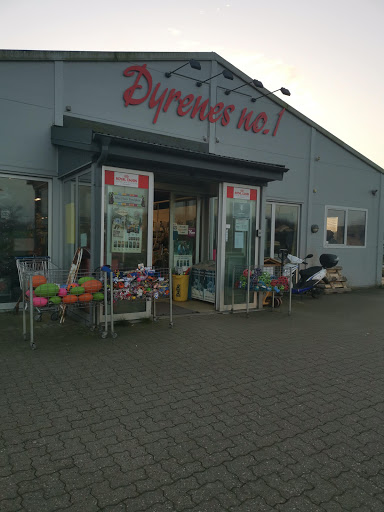 Dyrenes No. 1 in Kalundborg, Kalundborg