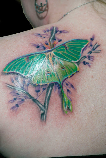 Explore stroke survivor tattoo ideas, creative tattoo ideas in Dunn, available at Yankee Tattoo and Piercing