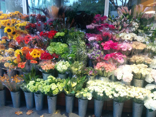 Gourmet Grocery Store «Metropolitan Market Magnolia», reviews and photos, 3830 34th Ave W, Seattle, WA 98199, USA