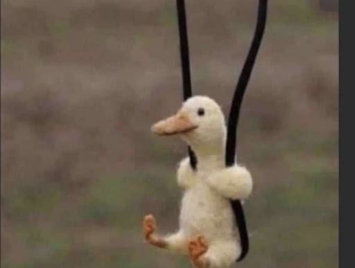 Sporting Goods Store «Nike Factory Store», reviews and photos, 1 Outlet Blvd #600, Wrentham, MA 02093, USA