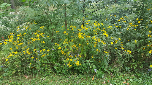 Park «Plum Creek Park», reviews and photos, Cherry St, Kent, OH 44240, USA