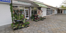 Магазин за цветя "Нолина"