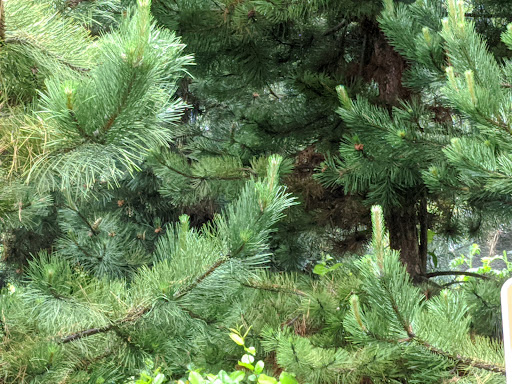 Discount Store «Walmart», reviews and photos, 19191 N Kelsey Street, Monroe, WA 98272, USA